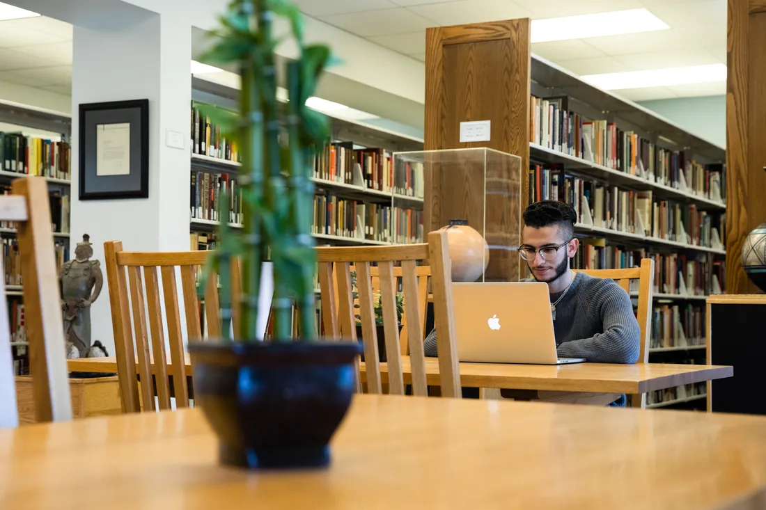 Student studying with open laptop in a library with a plant nearby on a table.