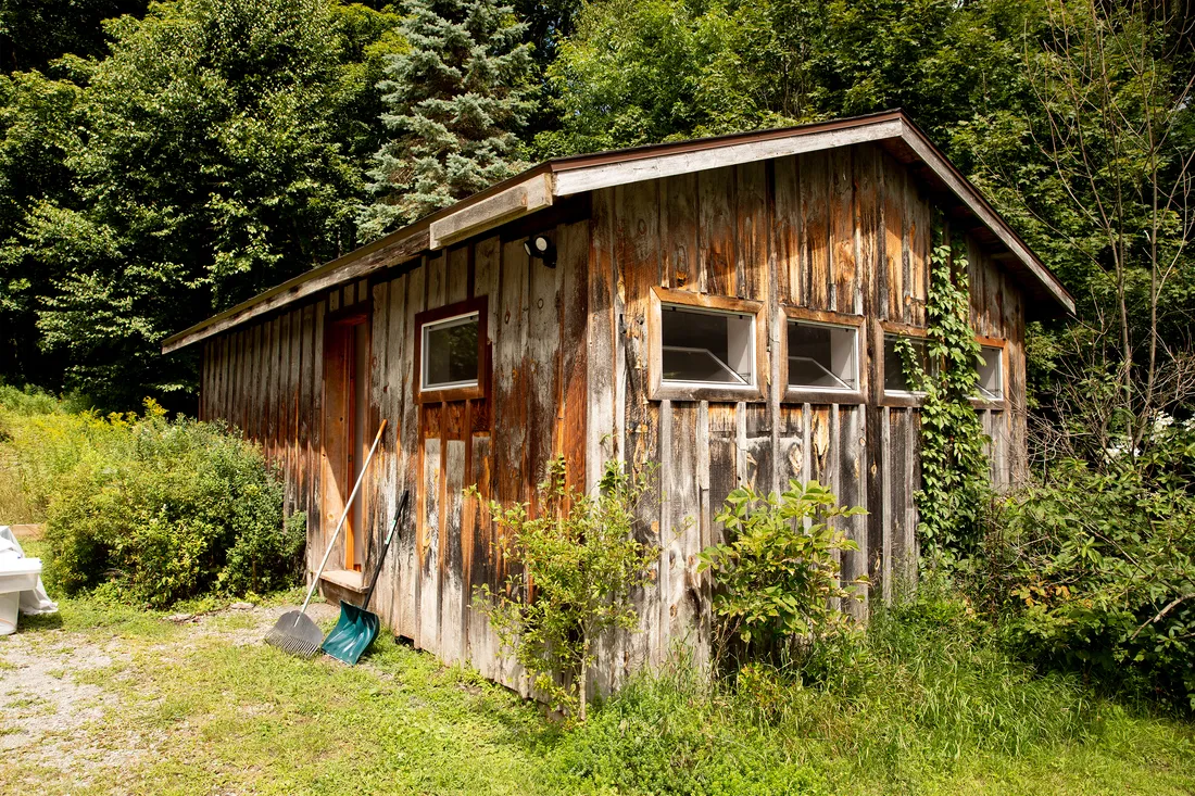 Landscape photo of George's writing shed, surrounded by foliage.