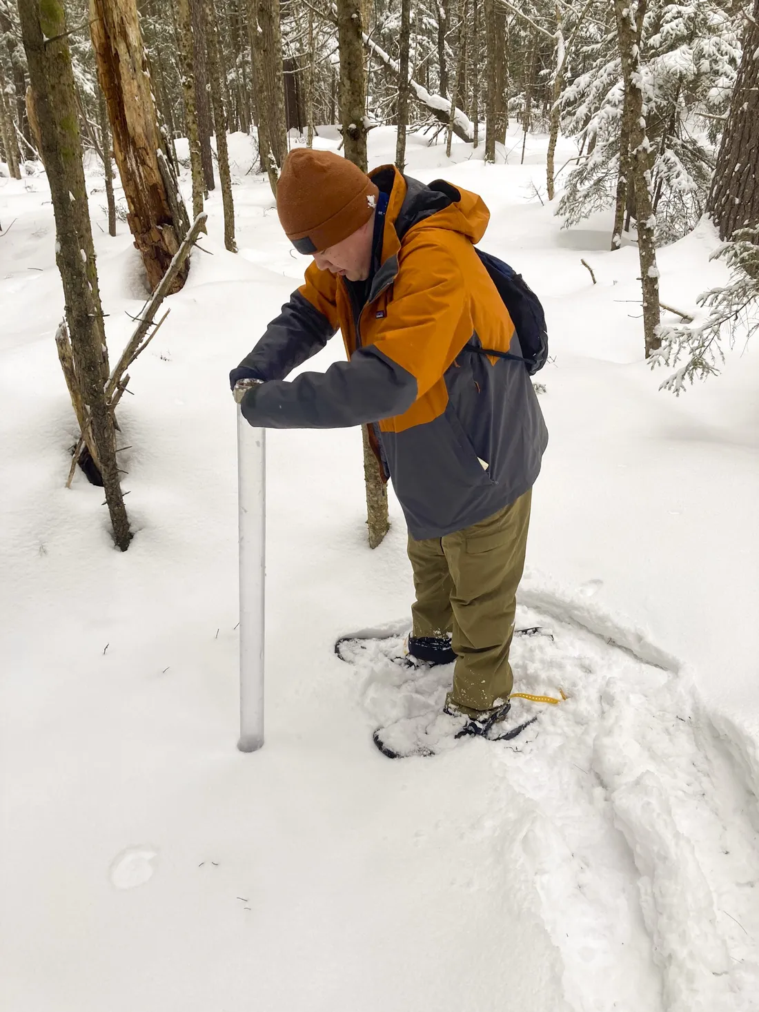Person using a tube in a snowy forest to measure snow levels.