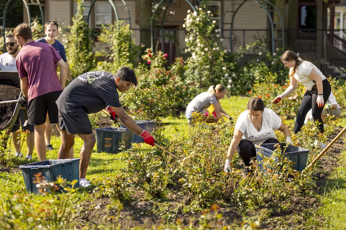 Students gardening in Thornden Park's E.M. Mills Rose Garden.