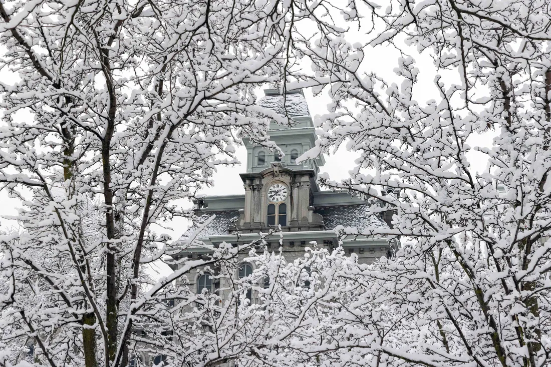 Hall of Languages in the winter trees.