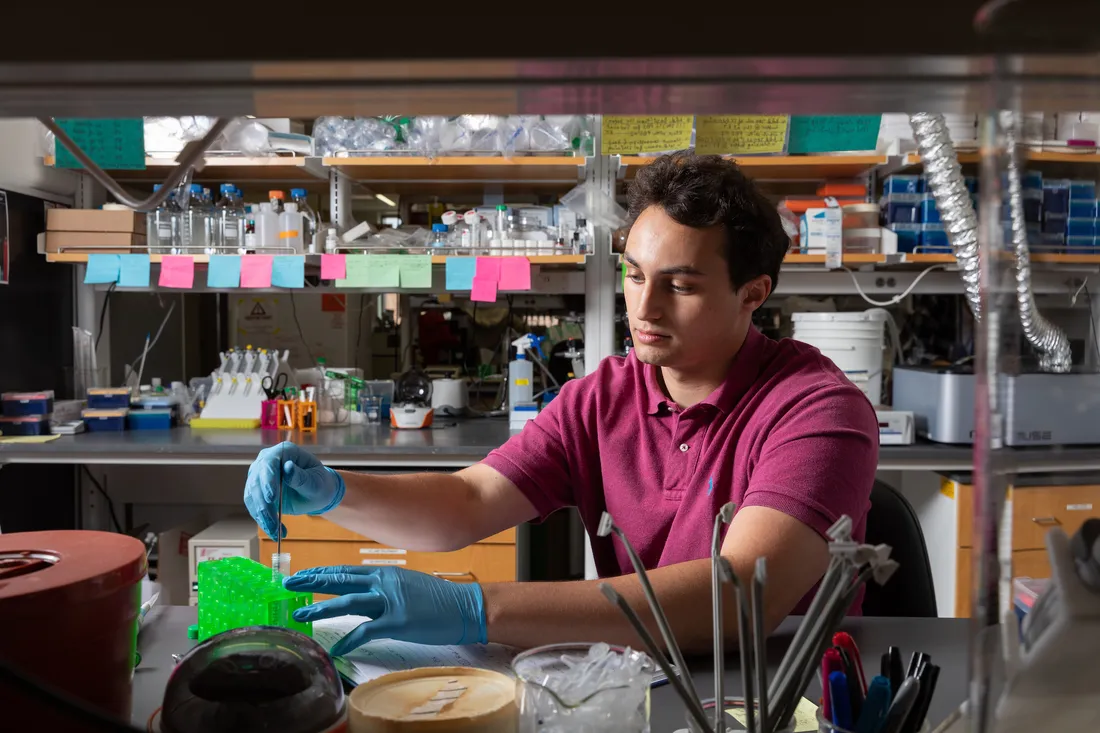 Student doing research in a lab