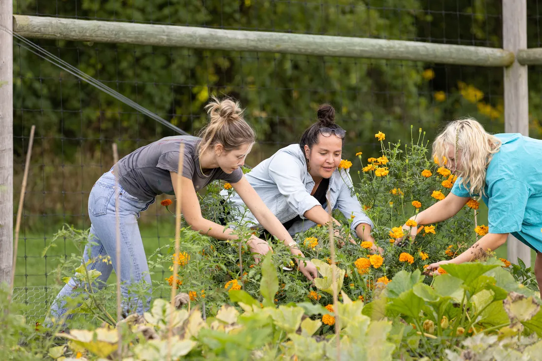 People working with plants.