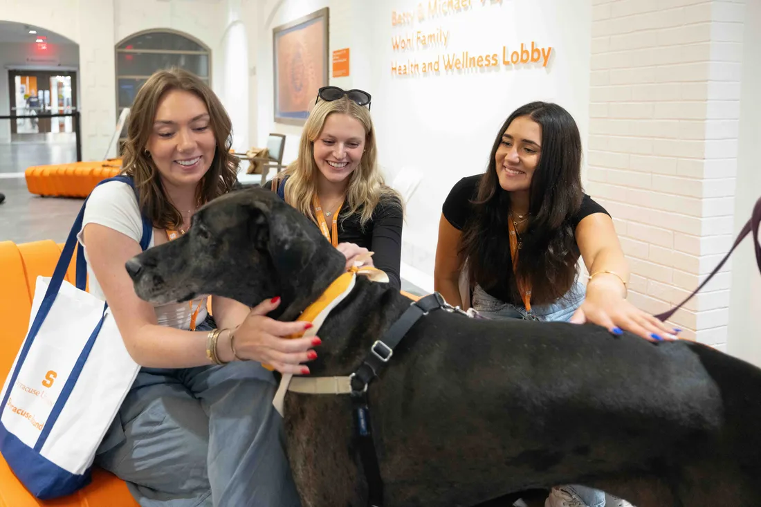 Two students are petting a dog.