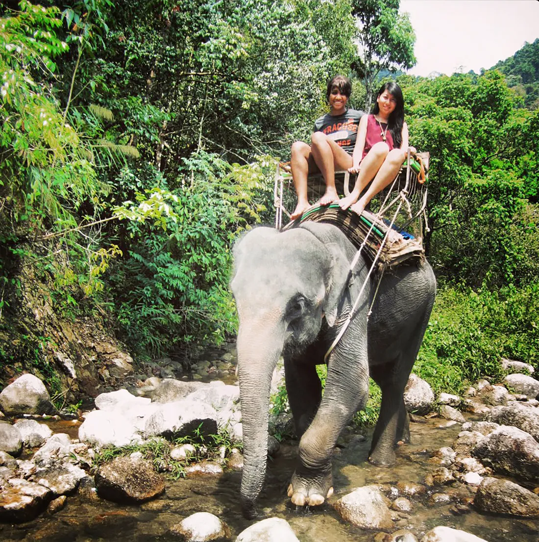 Amanda Quick riding an elephant while studying abroad.