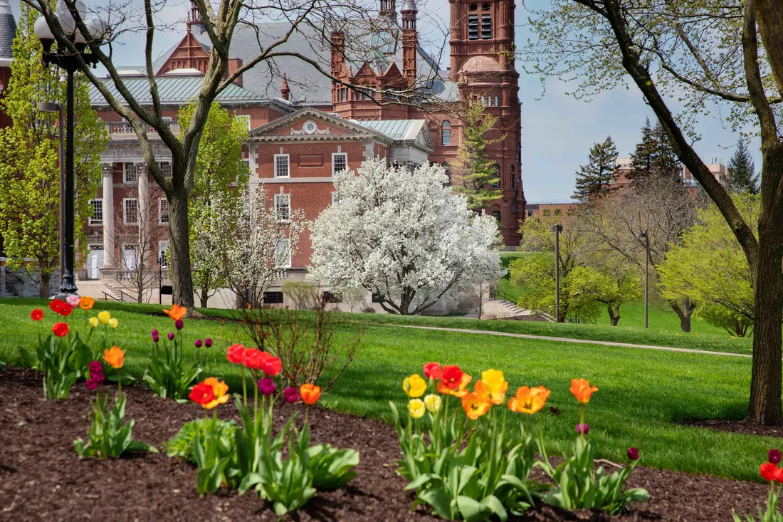 Campus in the Spring.