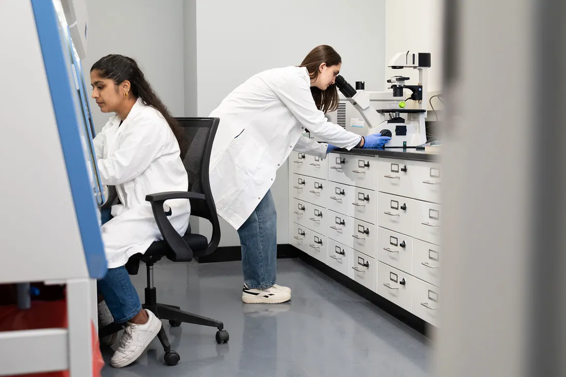 Researchers working in a lab.