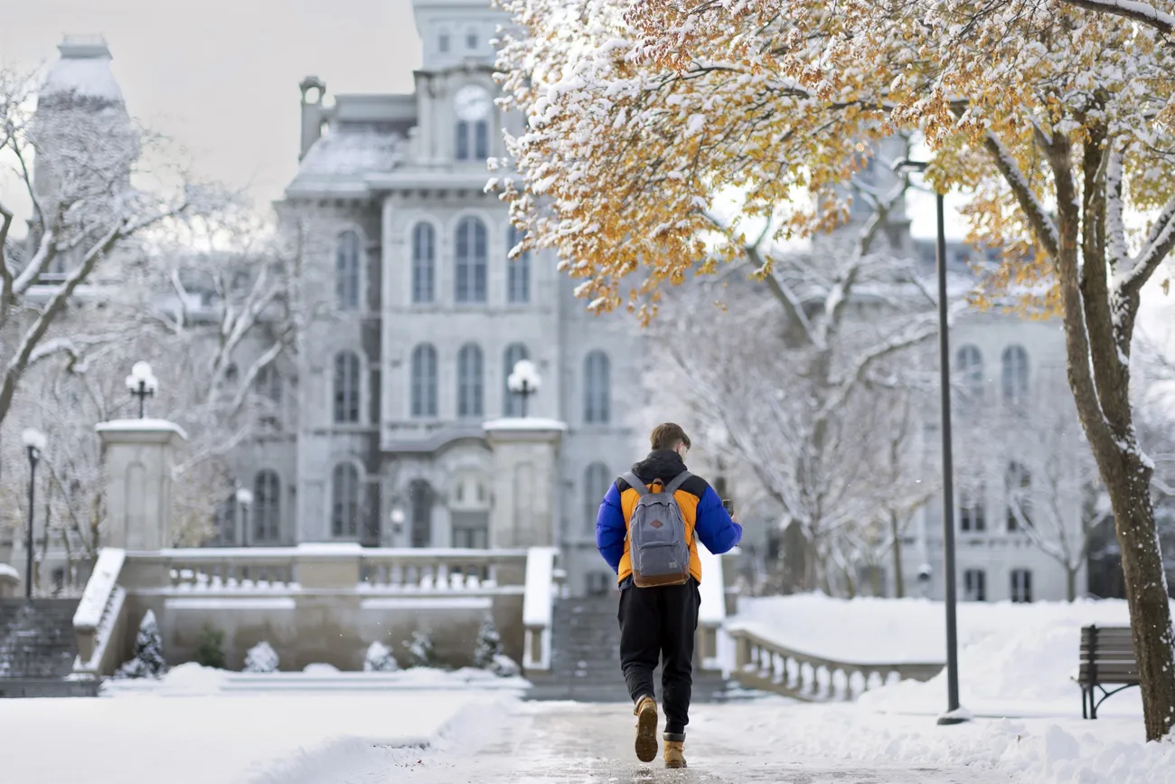 Person walking outside in the snow towards the Hall of Languages.