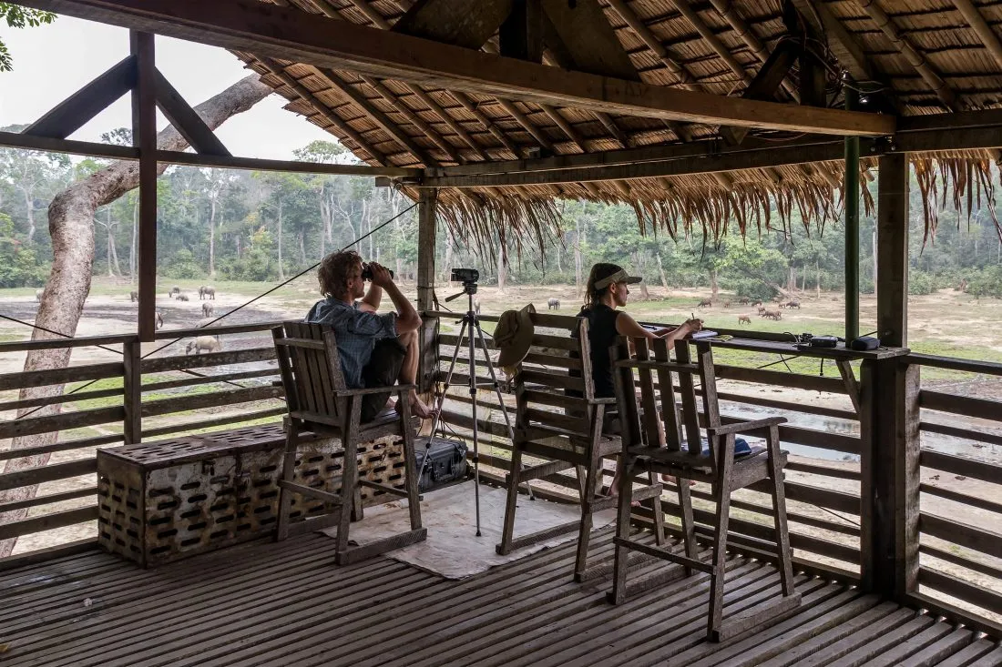 Two researchers sit in an observation tower with binoculars, camera and recording equipment to observe the behavior of African Elephants.