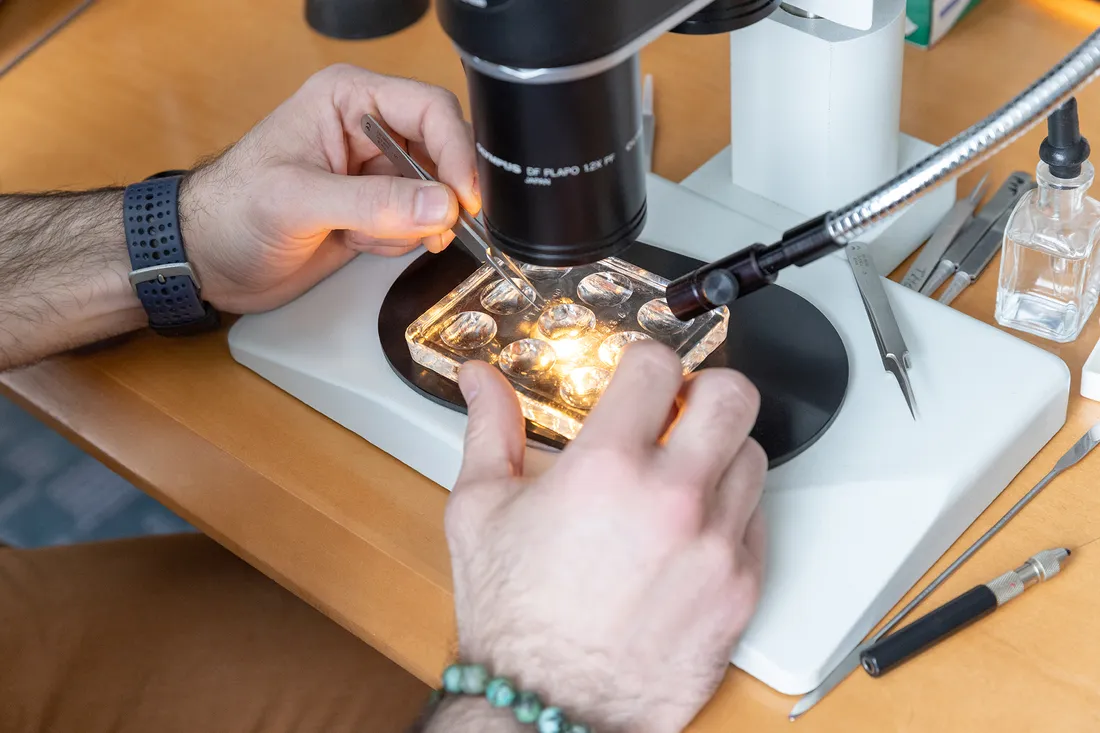 Hands hold specimen under microscope.