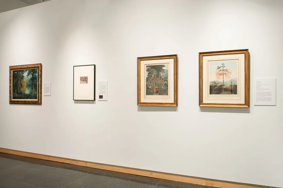Artwork displayed against a white wall