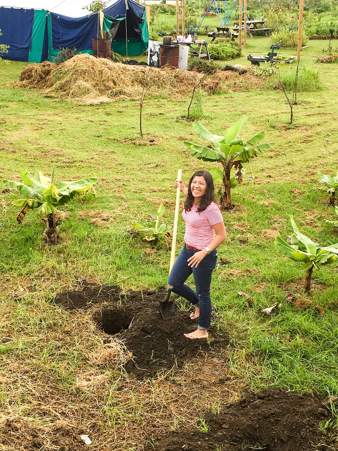 Person digging a hole in a garden.