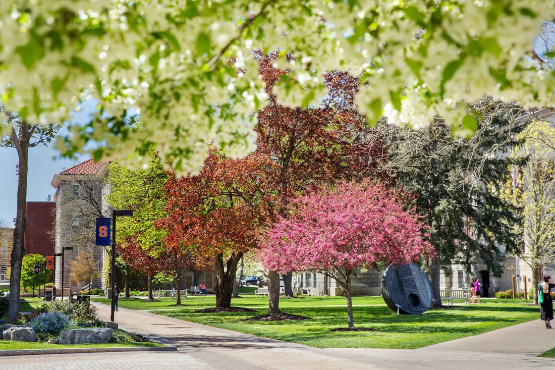 Spring time on campus.