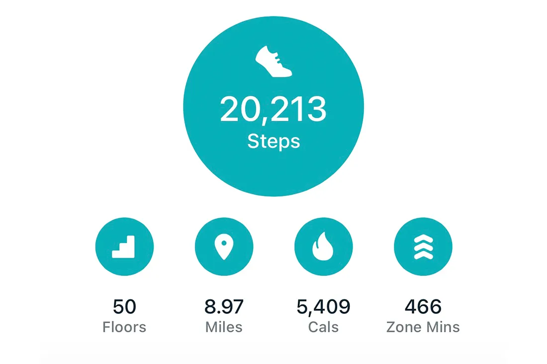 Screenshot of digitally tracked steps.