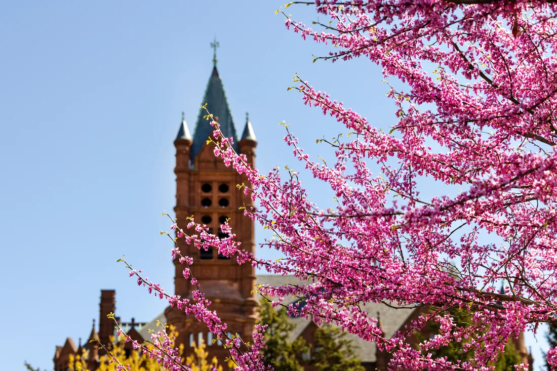 The hall of languages with a tree blooming flowers in front of it.