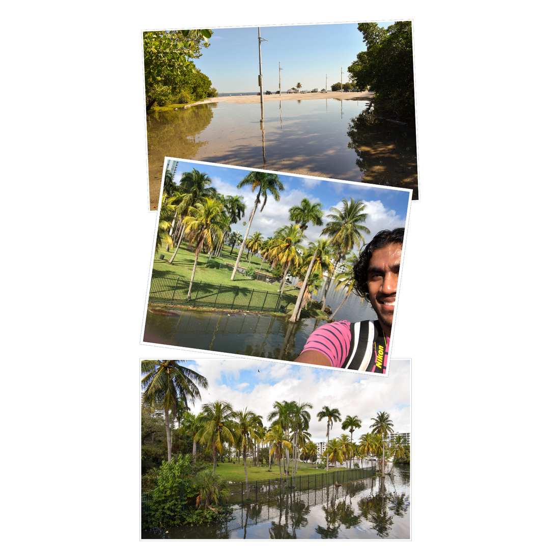 A collage of three images showing sea water flooding a parking lot and a park with palm trees.