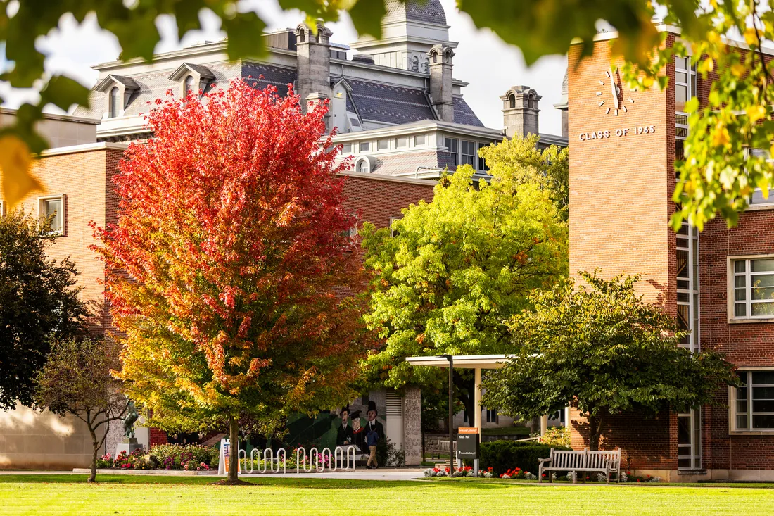A vibrant tree in front of a brick building on Syracuse University's campus.