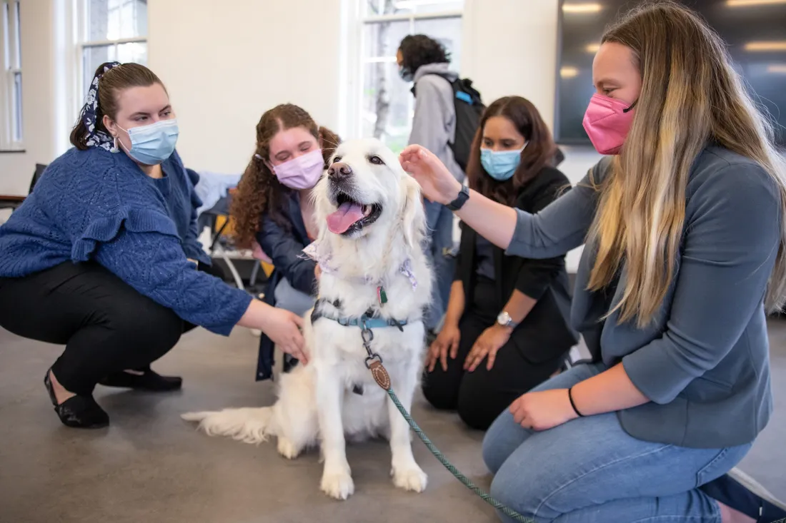 Group of four masked people sitting on the floor petting a dog.