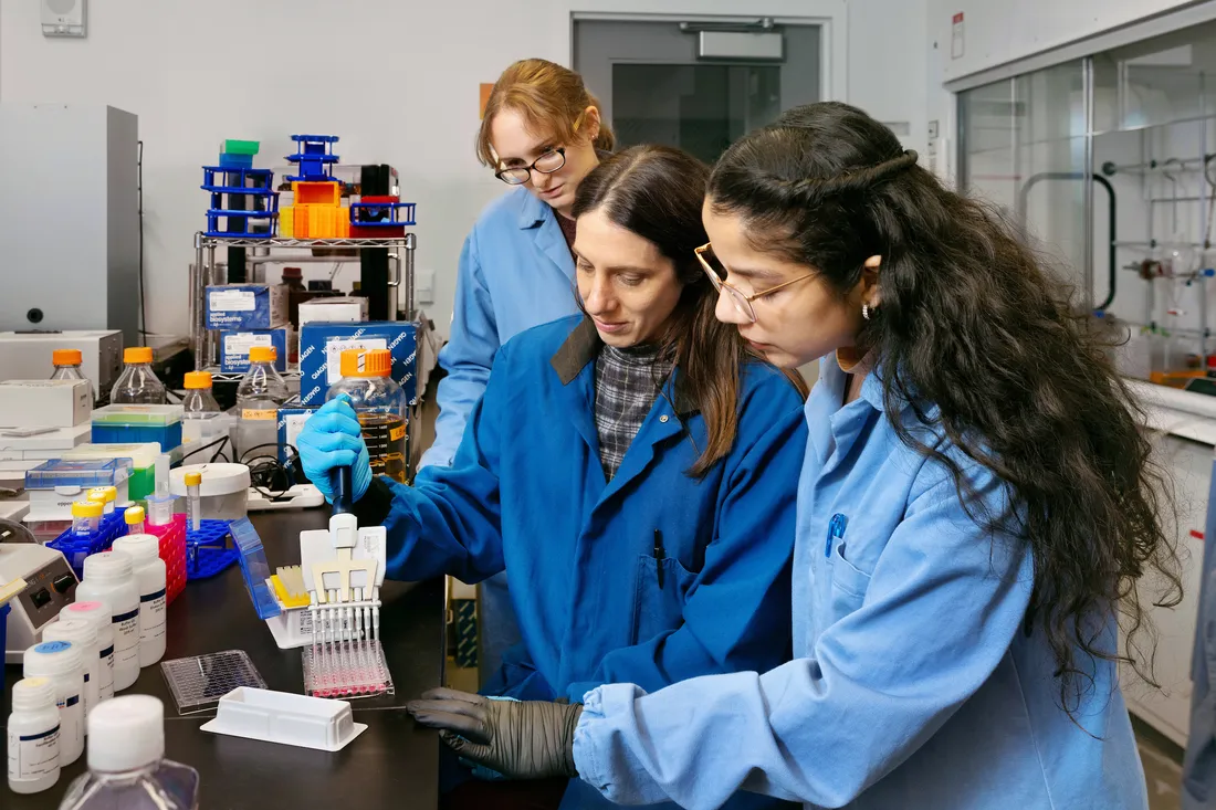 Students working in science laboratory.