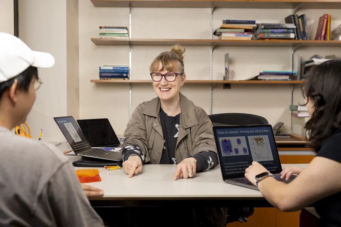 Professor at her desk talking to students.