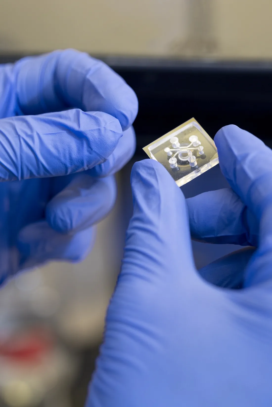 A close up of a bio-block being held by someone wearing gloves.