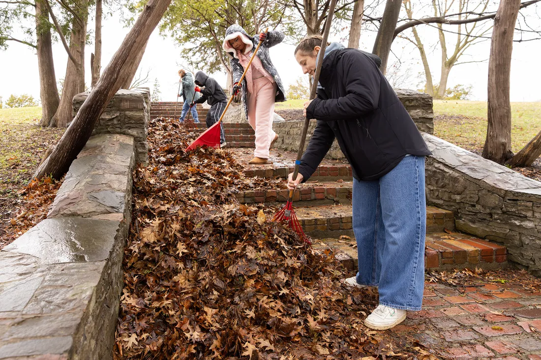 Students raking leaves outside on steps with Syracuse University Orange Seeds Club.