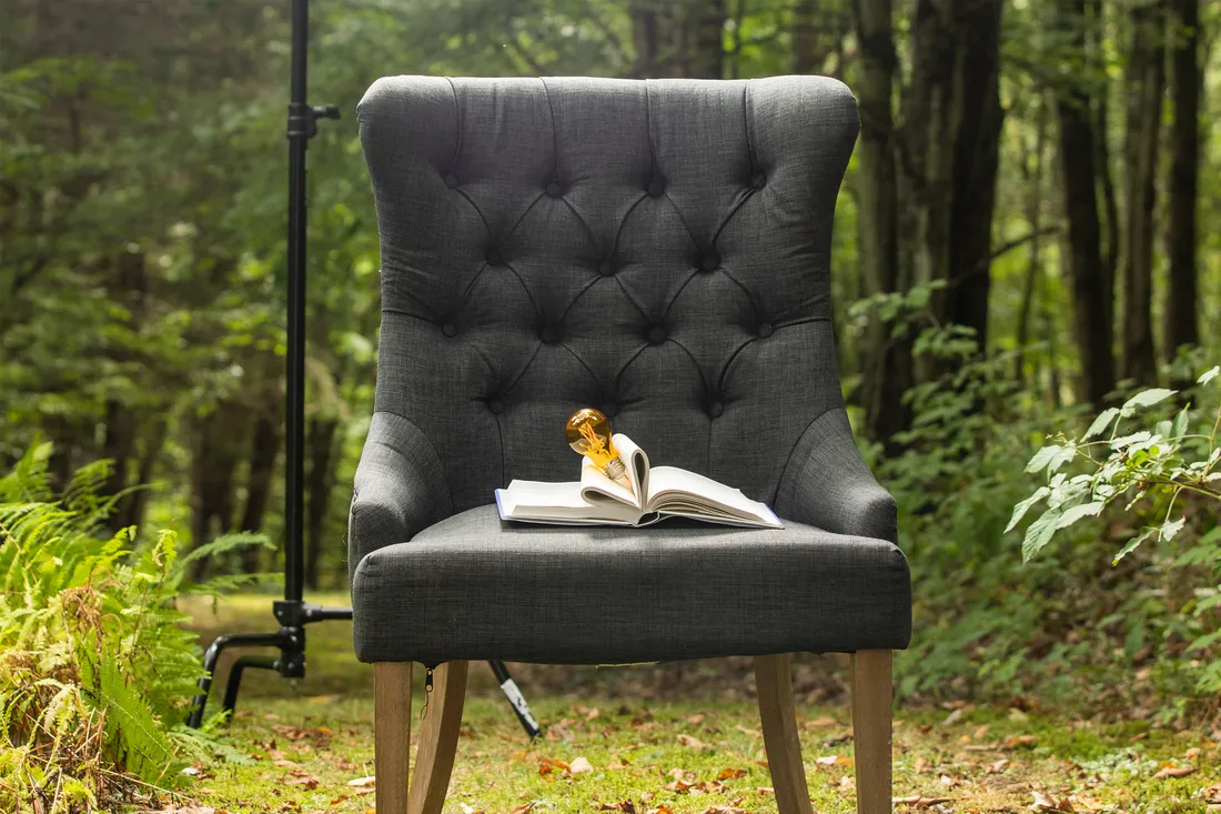 Medium shot of a grey upholstered chair placed in the woods with a book and lightbulb on the seat.