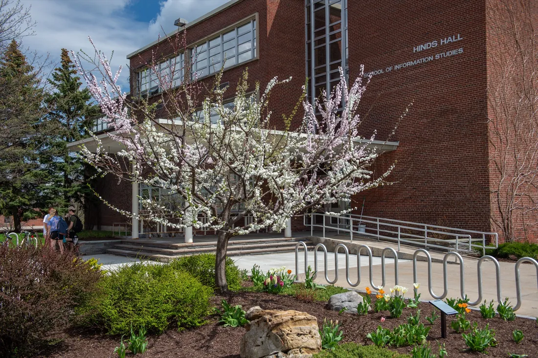 Phot of the Tree of 40 fruit in blossom located on the Syracuse quad.
