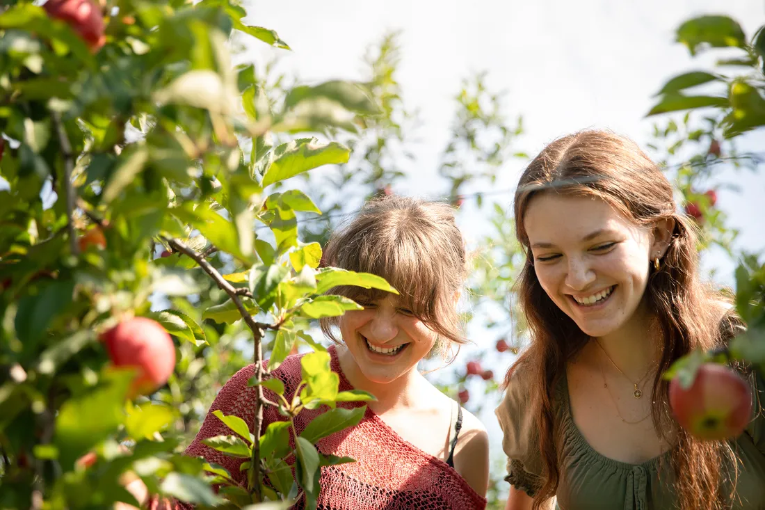 Two girls apple picking.