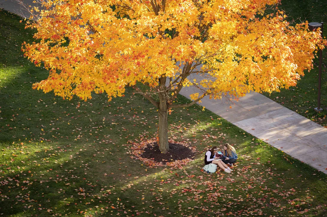 Student sitting under a tree in the fall.