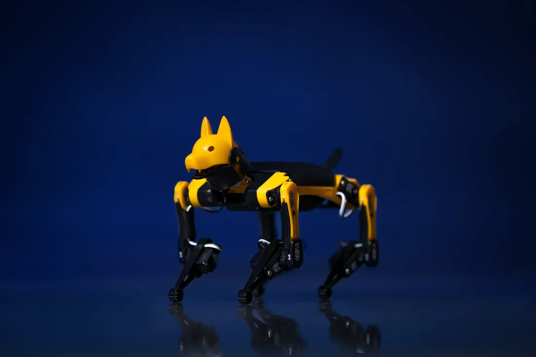 Product shot of a robot dog.