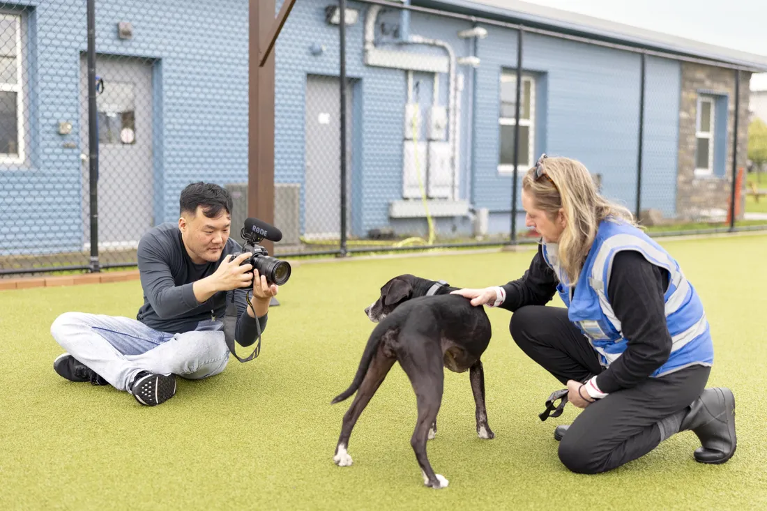 Student photographing a dog from Helping Hounds Dog Rescue.