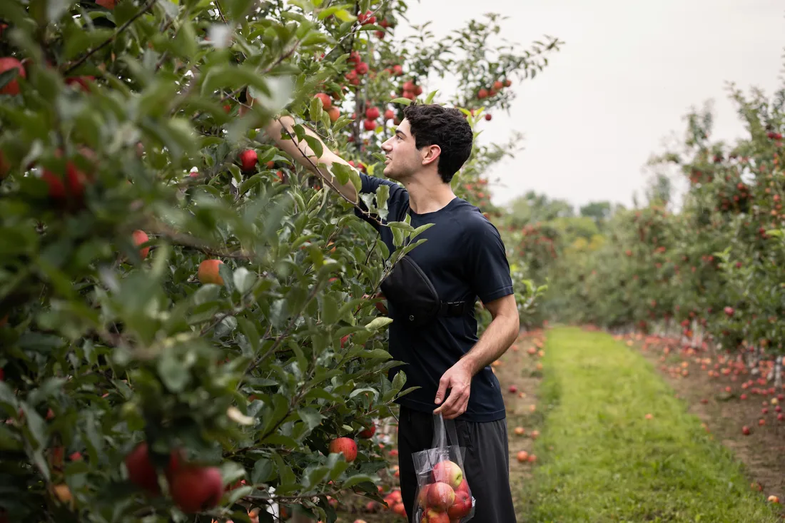 living-in-central-new-york-syracuse-university