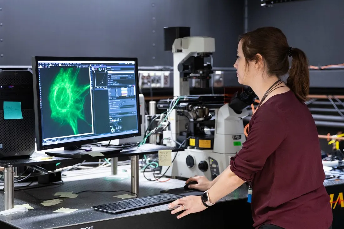 Professor Alison Patteson looks at a sample under a microscope in a laboratory.