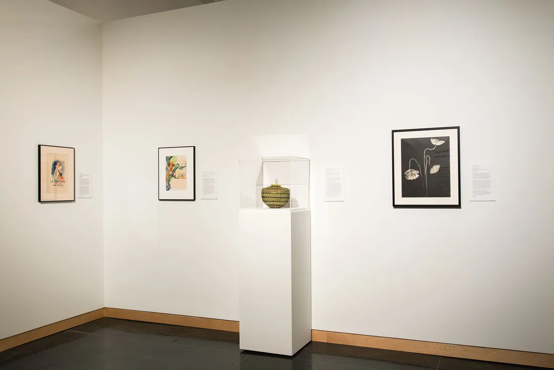 Artwork displayed against a white wall