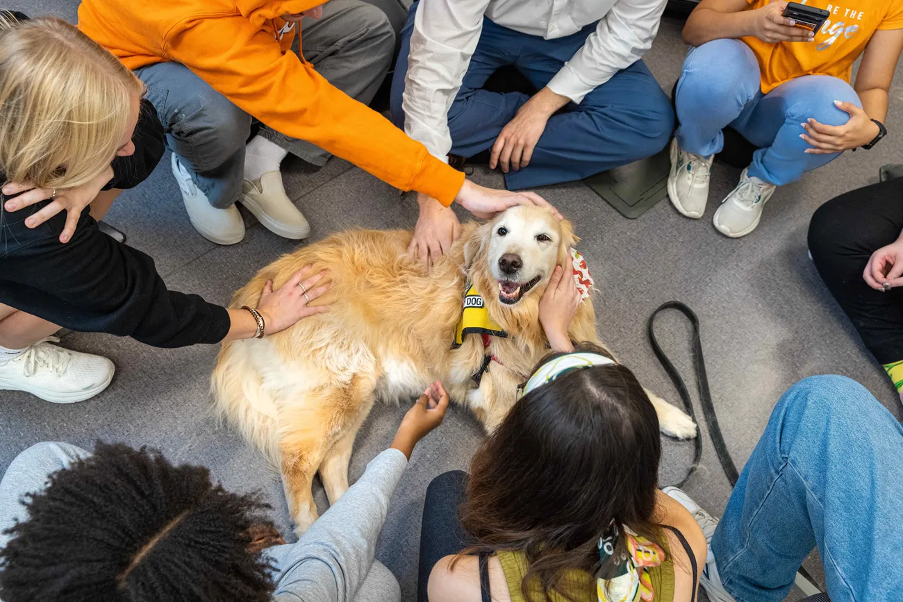 People participating in dog therapy at Barnes Center at the Arch.