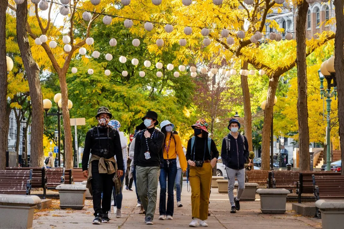 Group of students walk down a pathway in a park with trees and decorative lights above their heads during the daytime.
