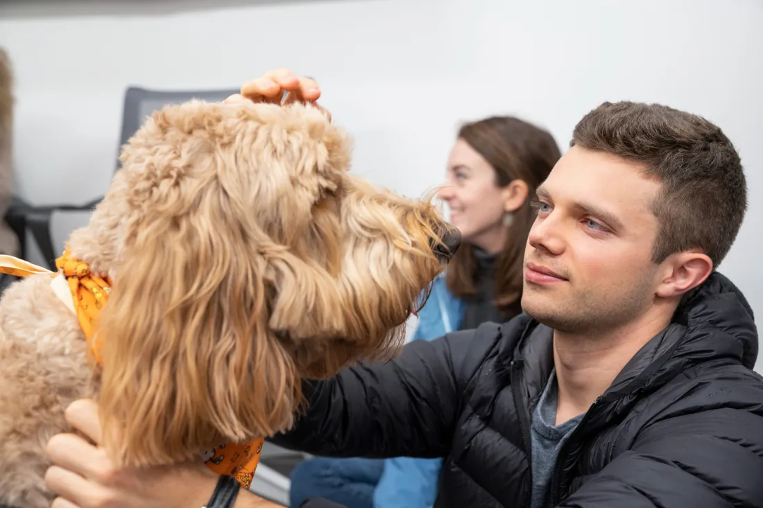 A young man petting a large dog's head