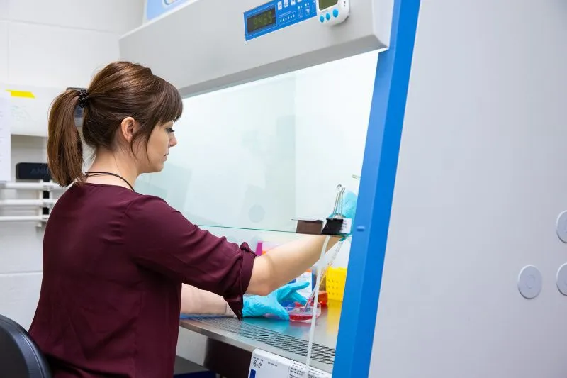 Professor Alison Patteson prepares a petri dish in a laboratory.