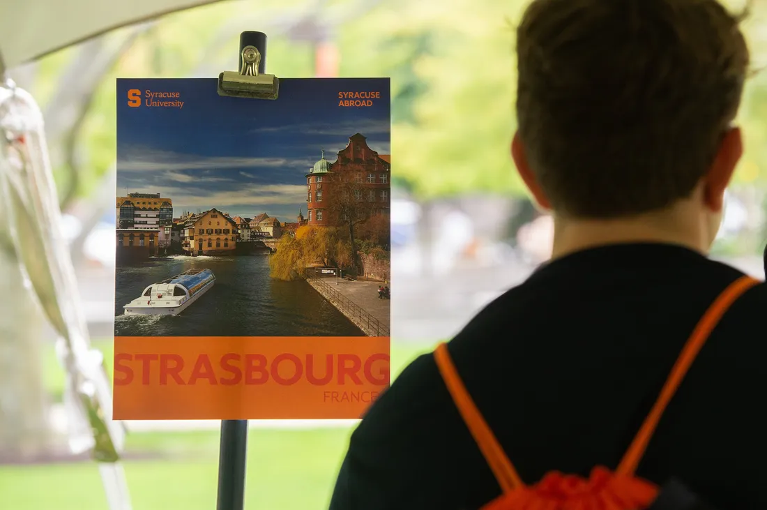 Student looking at painting of a landscape.