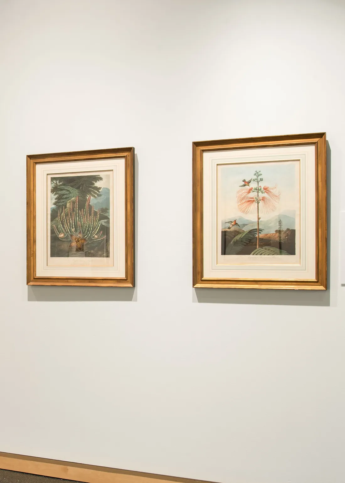 Two paintings hung on a wall.