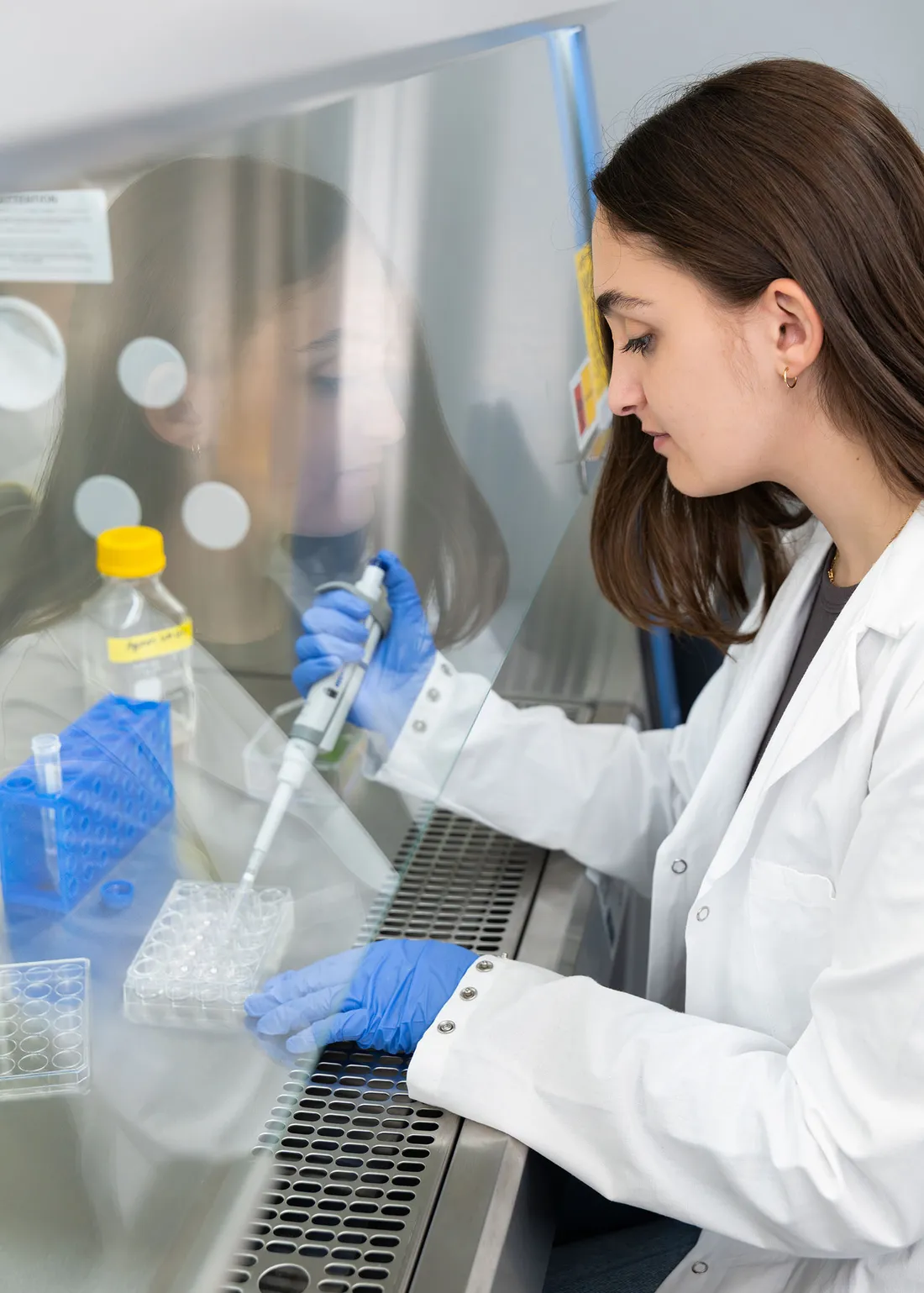 A female scientist in a lab coat putting a specimen on a petri dish.
