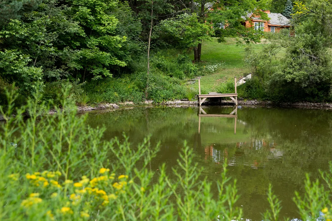 Landscape photo of a green pond with foliage all around and a small, wooden dock.