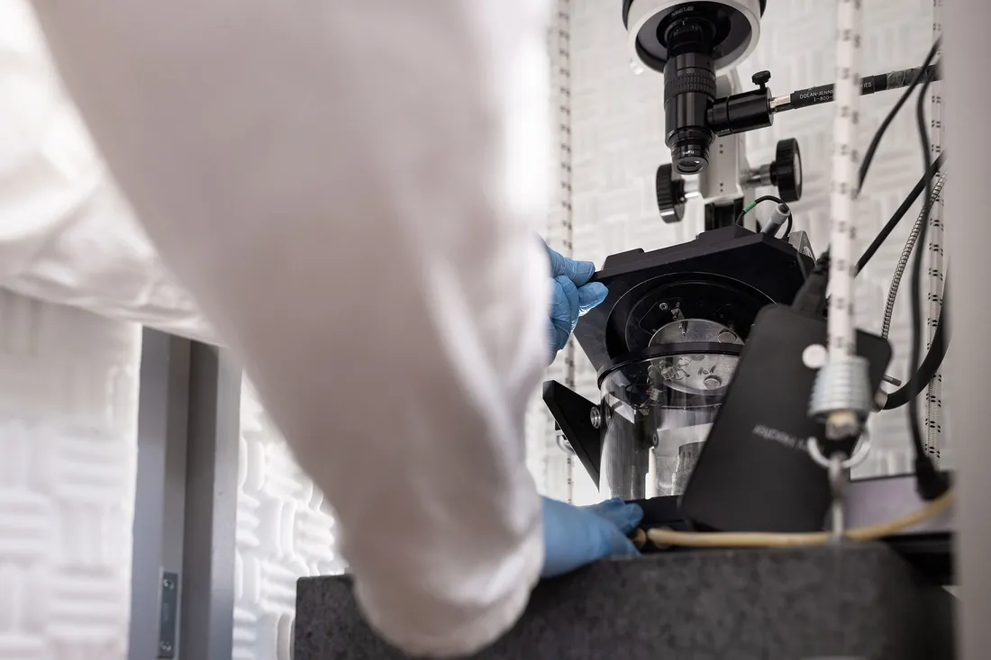Quinn Qiao using a microscope.