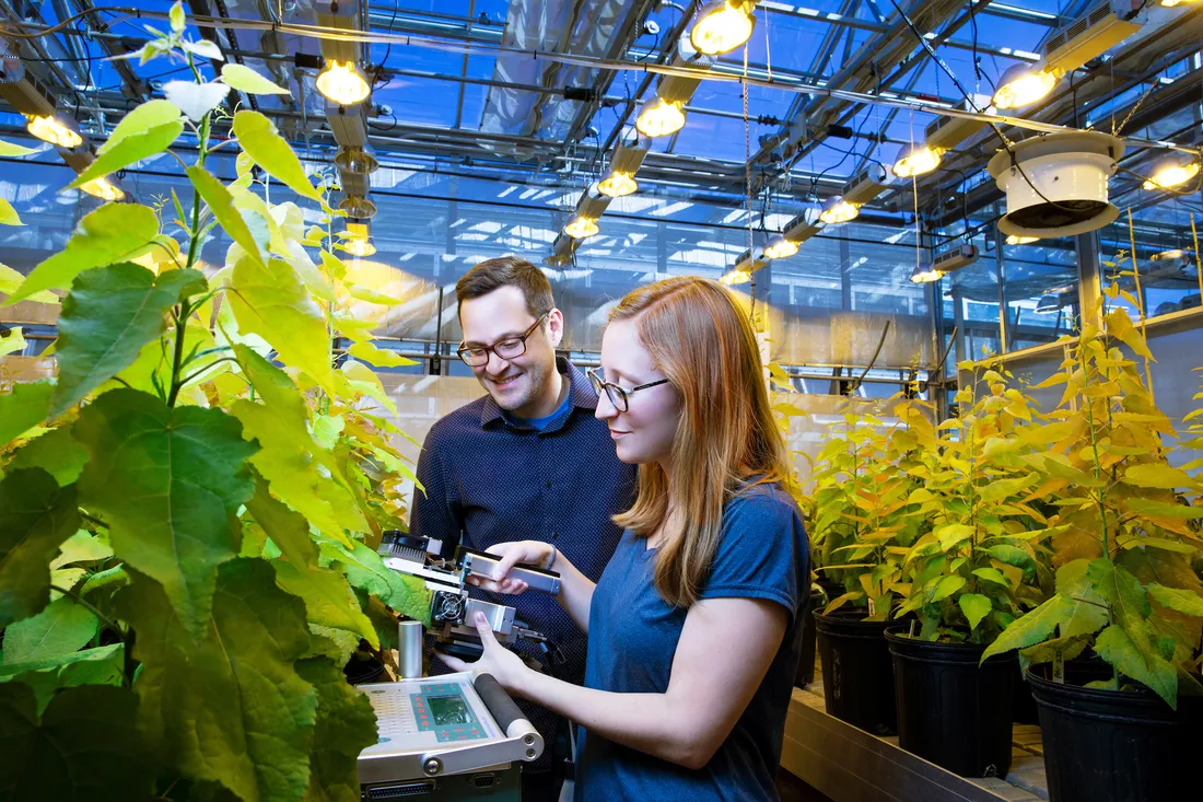 People observing plants in a greenhouse.