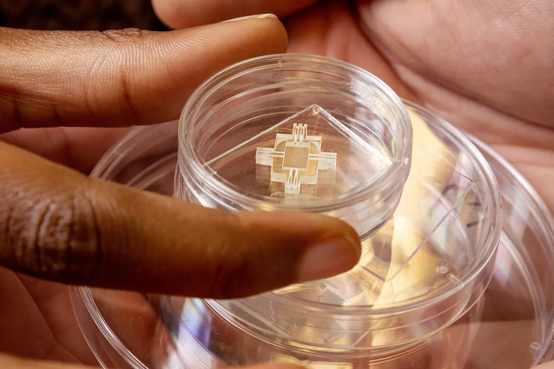 Close up of a hand holding a microfluidic chip in a dish.