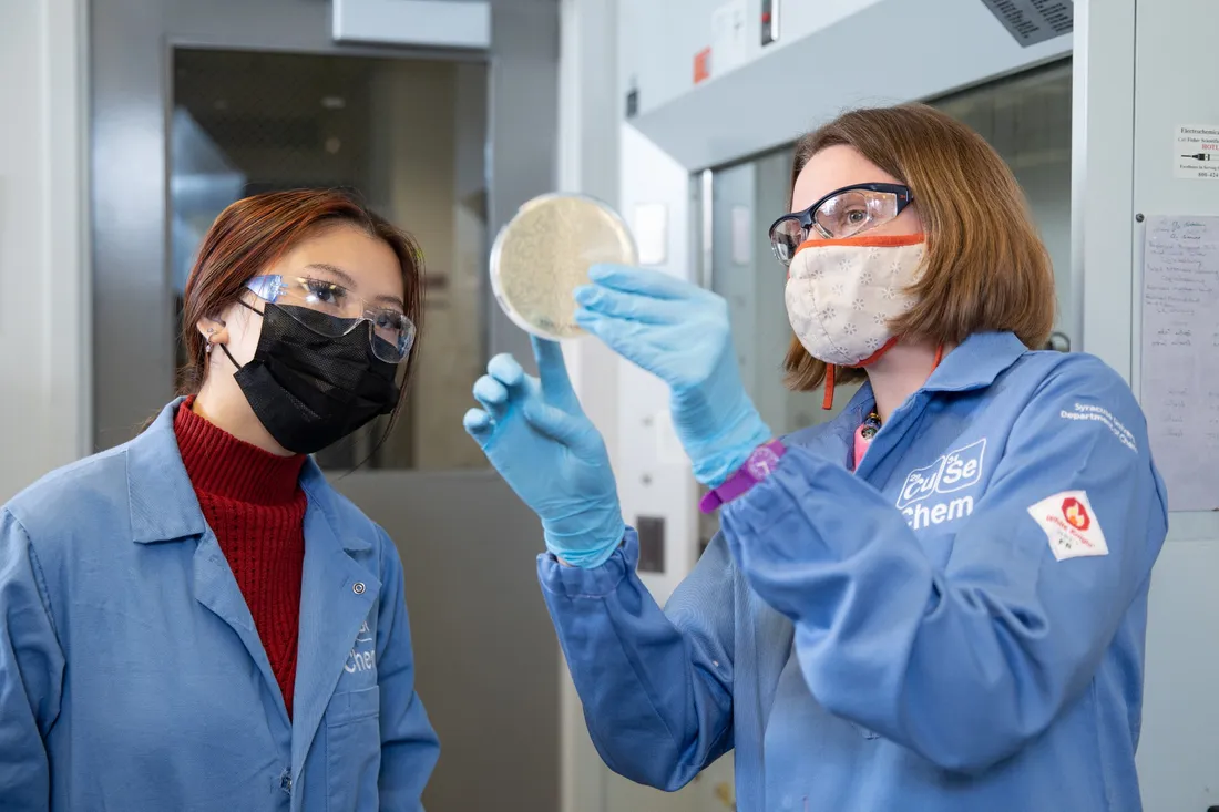 Two people in lab coats looking at a scientific sample in a lab.