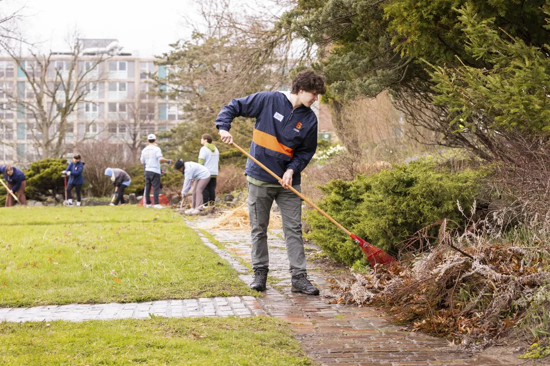 Student raking up fallen branches on campus.