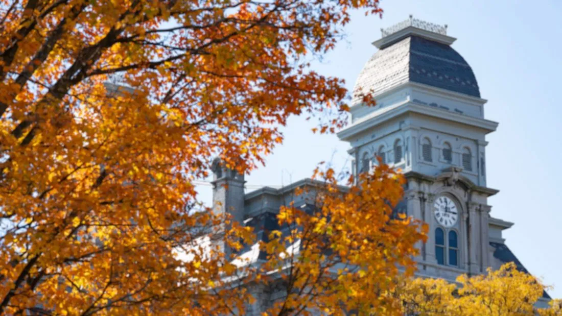 Campus scenery in the fall.