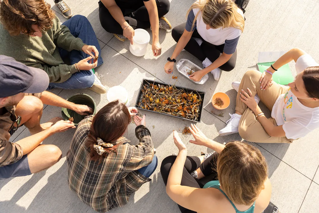 Students sitting outside with tray of foraged foods.